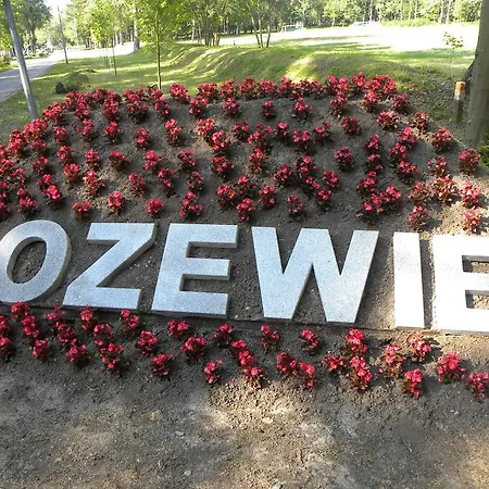 Goscinne Standard * Jastrzębia Góra